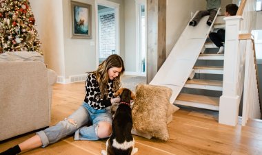 Puppy Training in Fort Worth TX: Building Healthy Habits From the Beginning
