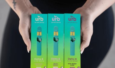 Inside Today’s THC Market: RSO Gummies, 2G Carts, Delta 9 Distillate & More