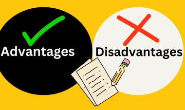 Advantages And Disadvantages of Self-Publishing