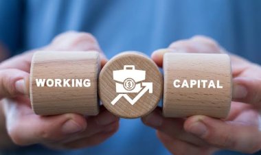 Should You Take a Business Loan for Working Capital or Expansion?