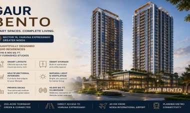 Gaur Bento: A Contemporary Choice for Millennial Buyers