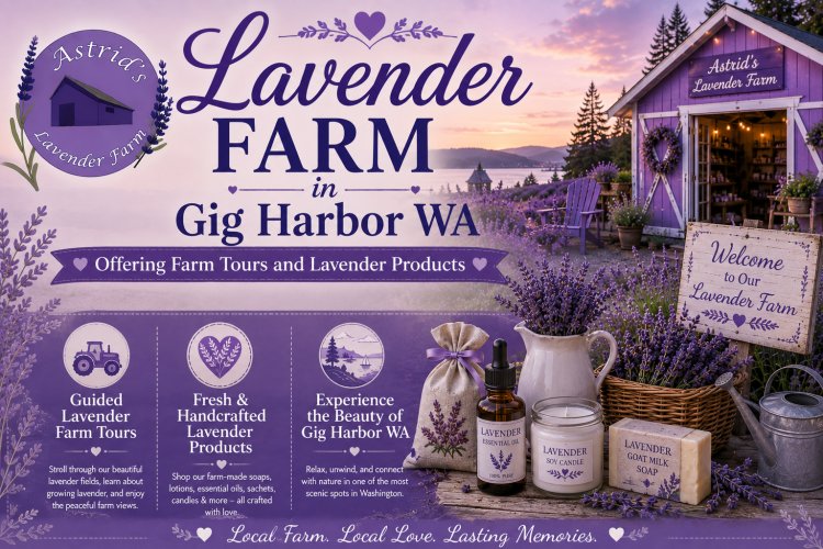 Lavender Farm in Gig Harbor WA Offering Farm Tours and Lavender Products