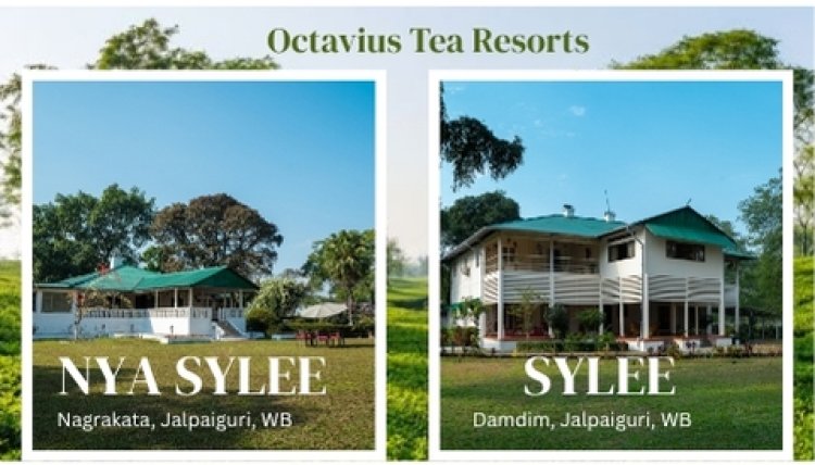 Tea Garden Resort: Best Way to Enjoy a West Bengal Tourism