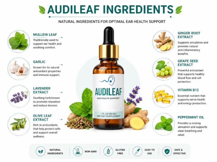 AudiLeaf Reviews (Consumer Reality) – Ear Health & Hearing Support Drops?
