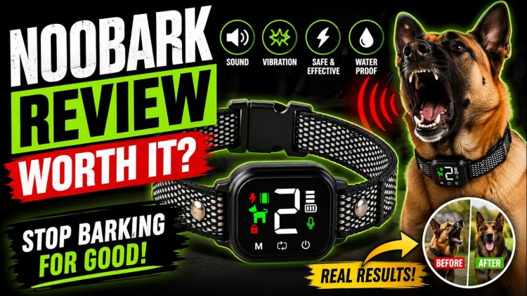 NooBark Anti-Bark Collar Review – Pros, Cons & Important Details