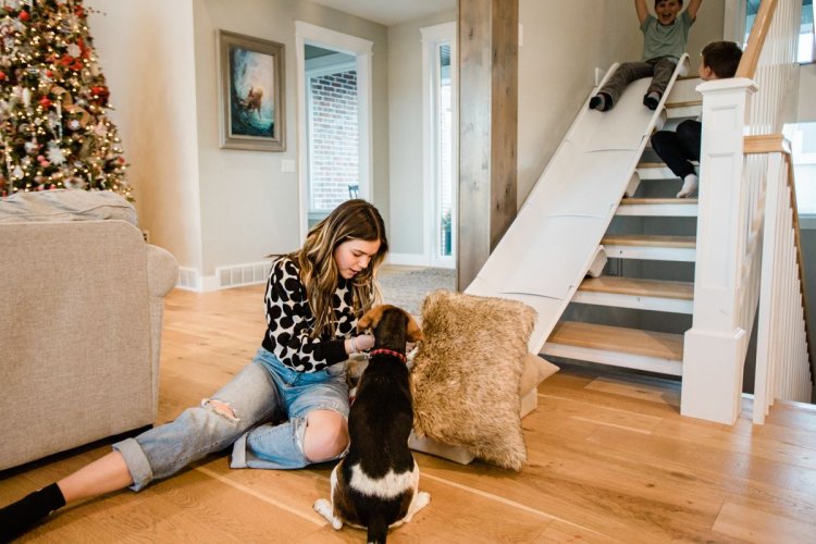 Puppy Training in Fort Worth TX: Building Healthy Habits From the Beginning