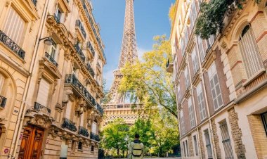 What Makes French Culinary Travel So Popular Among Tourists?