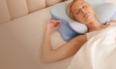 Derila ERGO Pillow Review 2026: My 3 Month Experience: Do These Probiotics Actually Work?
