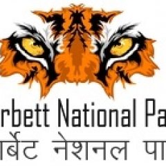 corbett_national_park