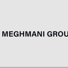 Meghmani Global