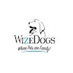 WizeDogs Labradors