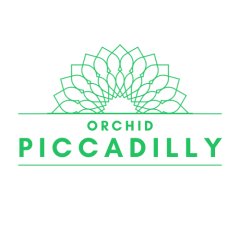 Orchid Piccadilly