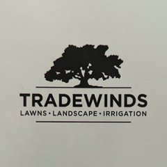Trade Winds
