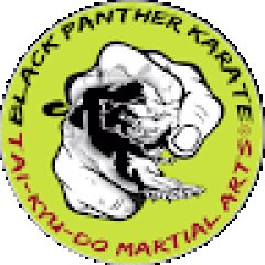 Black Panther Martial Arts