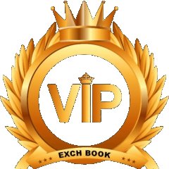 vipbook123