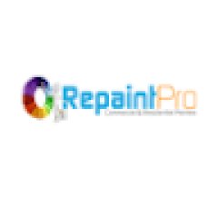 RepaintPro