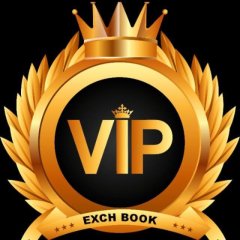 vipbook011