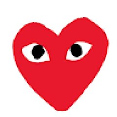 Comme Des Garcons 1