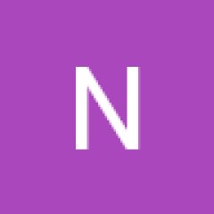 Noida international University