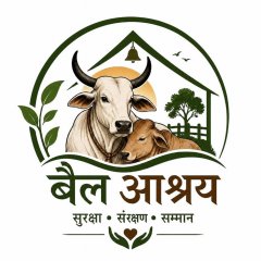 nehabailashrey